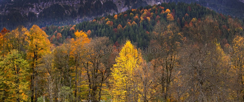 Similar – Image, Stock Photo +++<font color=”#ffff00″>-==- sync:ßÇÈâÈâ