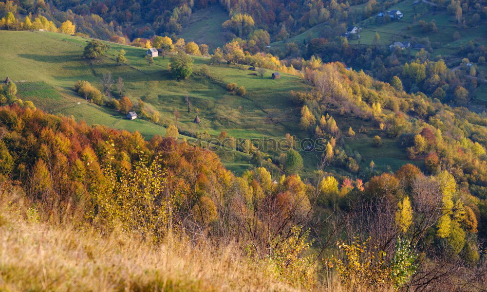 Similar – Curved serpentine road trough fall forest and village.