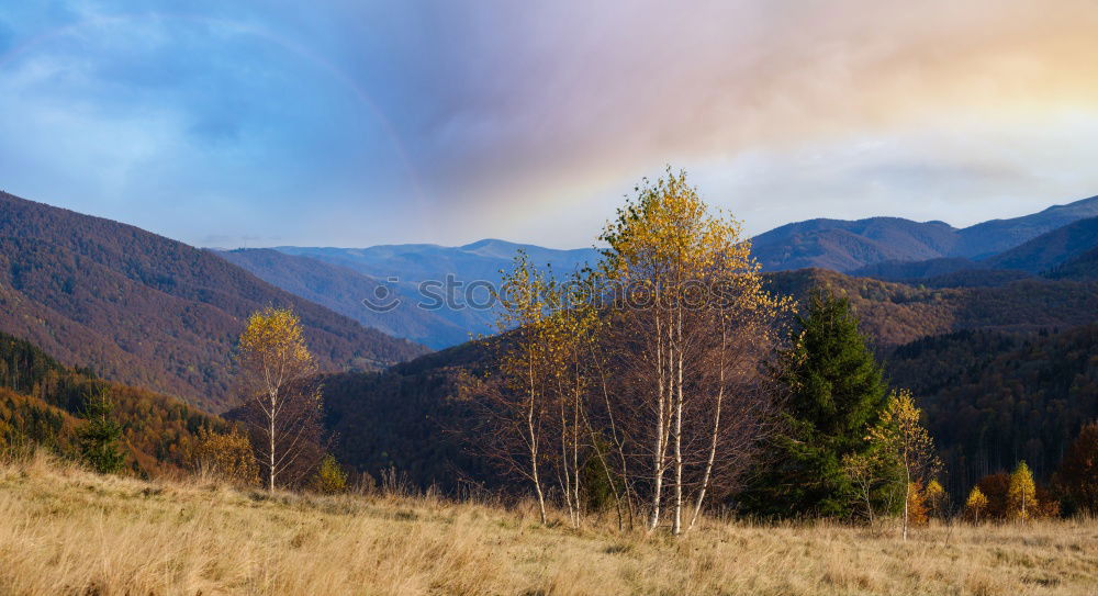 Similar – Herbst in den Bergen Natur