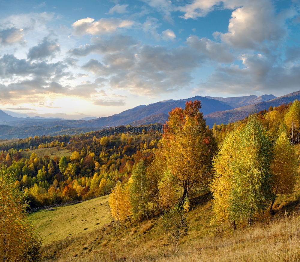 Similar – Image, Stock Photo maple Mountain Environment