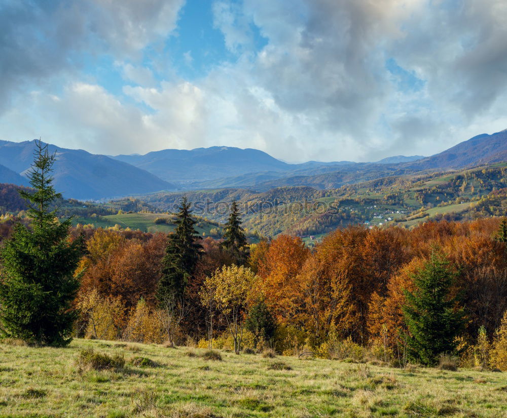 Similar – Image, Stock Photo Lone tree in autumn mountains