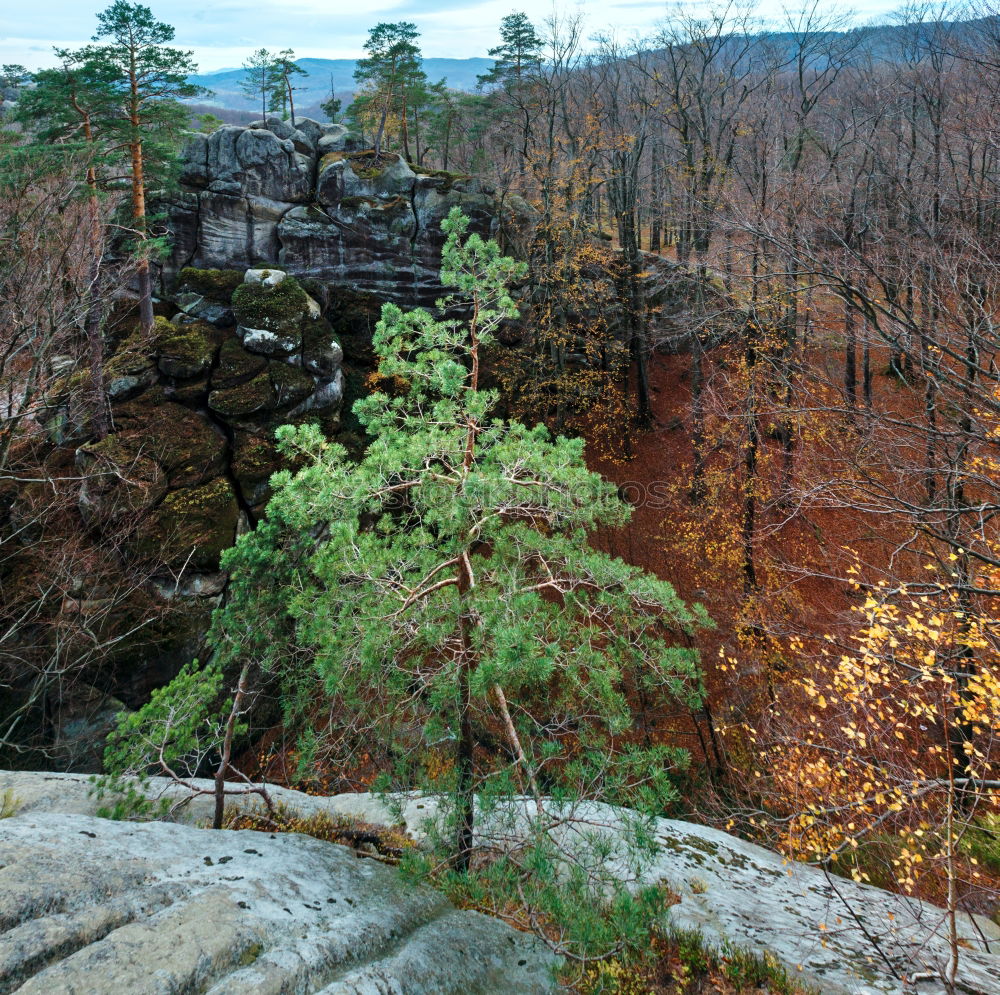 Similar – View of the Teufelsturm and the Elbe valley