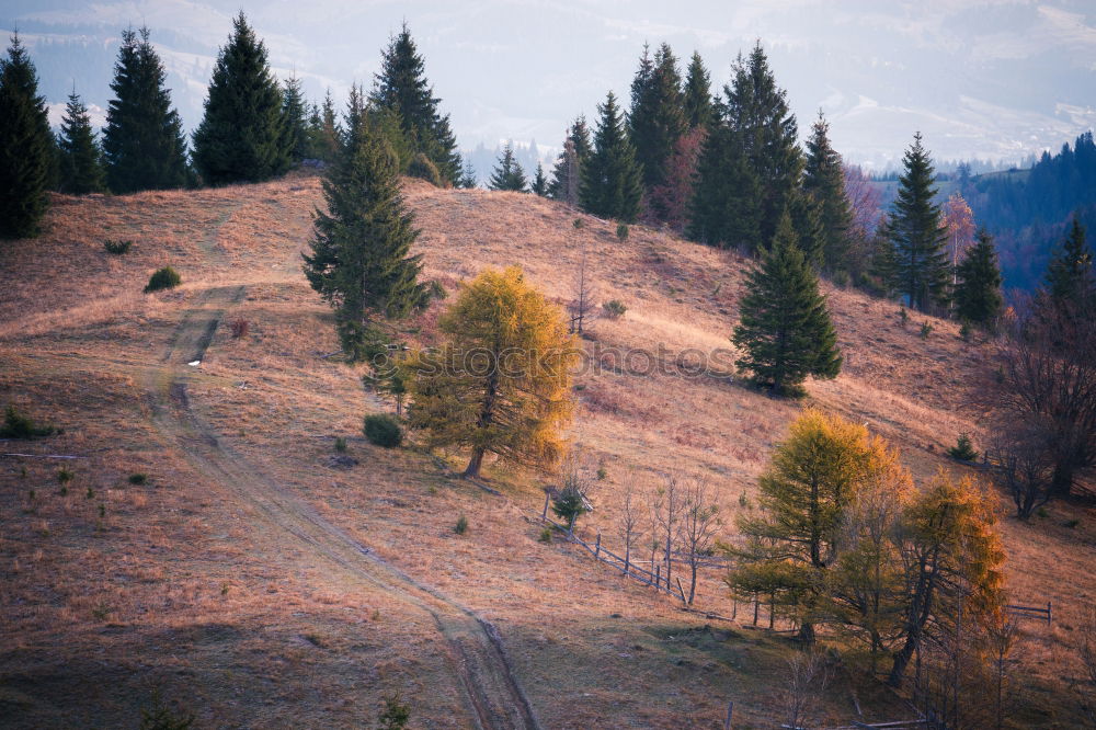 Similar – Image, Stock Photo Muddy hillside in autumn rainy season.