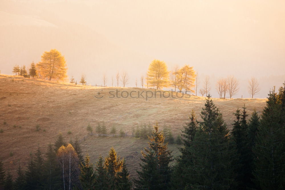 Similar – Bern old town in autumn