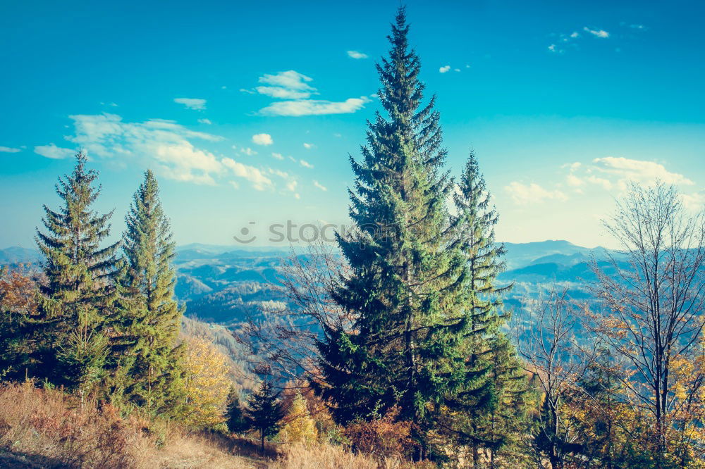 Similar – Carpathian Mountains Landscape In Romania