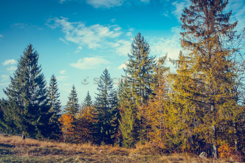 Similar – Foto Bild Schönes Wetter Umwelt