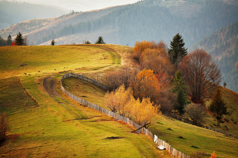 Similar – Autumn mountain panorama. October on Carpathian hills