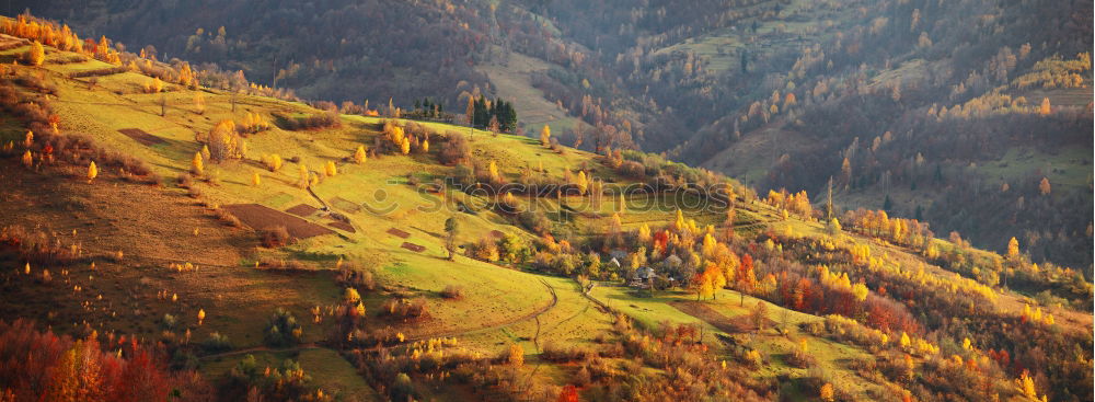 Similar – timberlines Landscape Tree