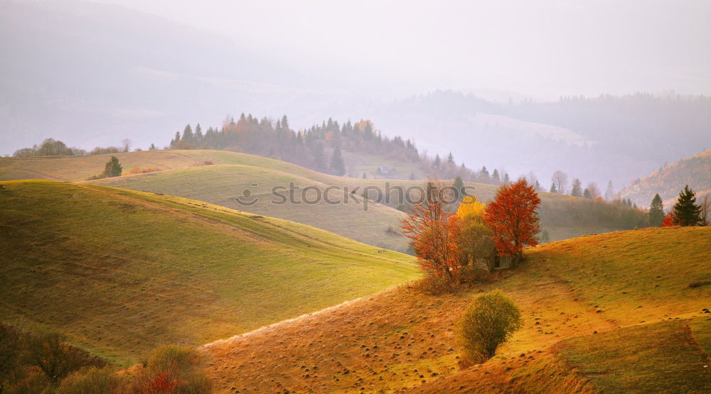 Similar – Image, Stock Photo Panorama of snowy Tatra mountains in spring, south Poland