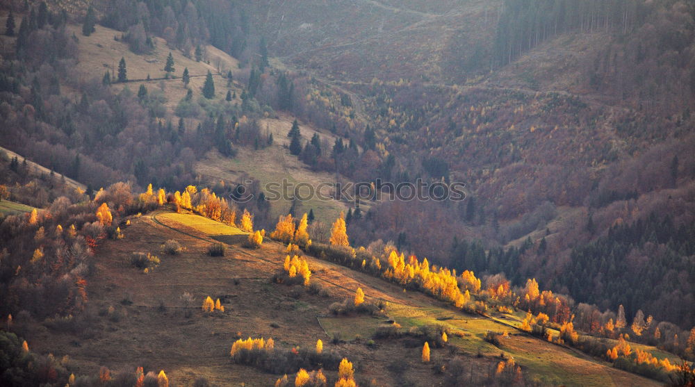 Similar – Image, Stock Photo Sunny October day in Malopolska mountain village