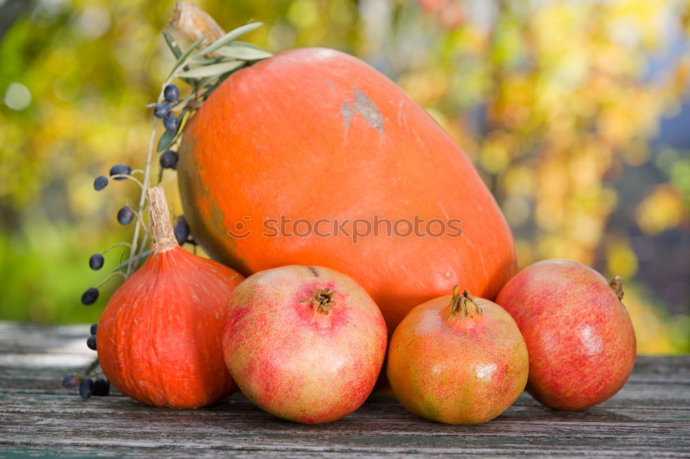 Similar – a winter supply of apples