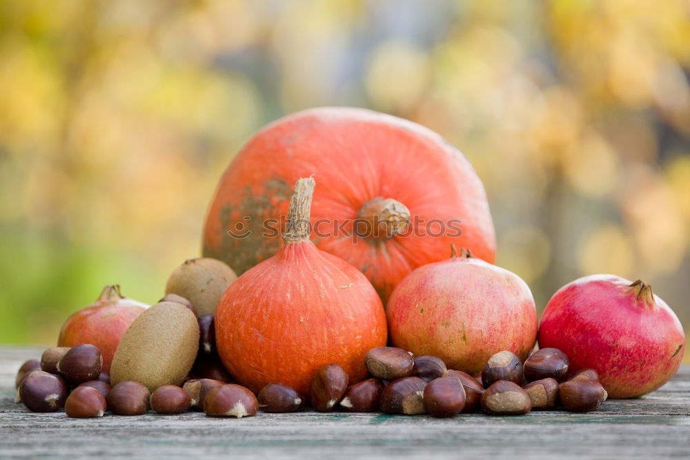 Similar – Image, Stock Photo Quince Physalis Chestnut Rose Hip