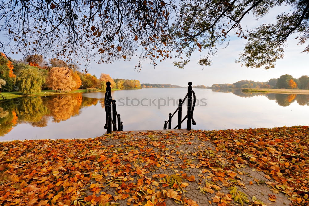 Similar – Image, Stock Photo autumn lake Environment