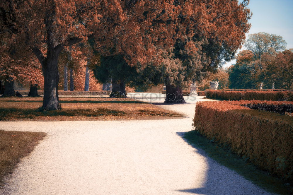 Similar – Way to Vitaleta Chapel, Val d’Orcia, Tuscany, Italy