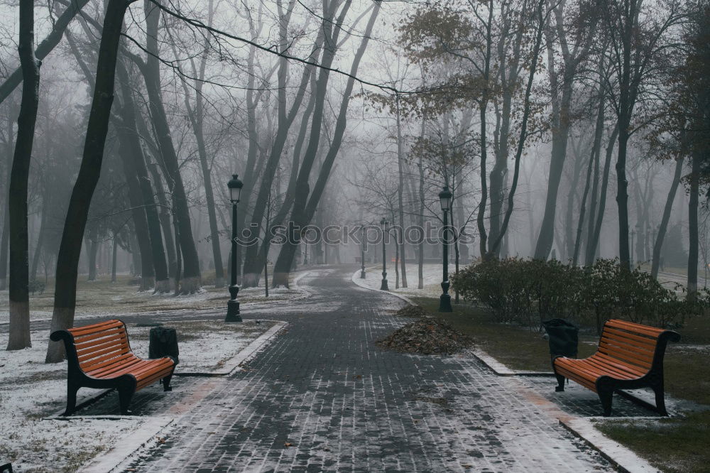 Similar – Image, Stock Photo The rest is silence Park