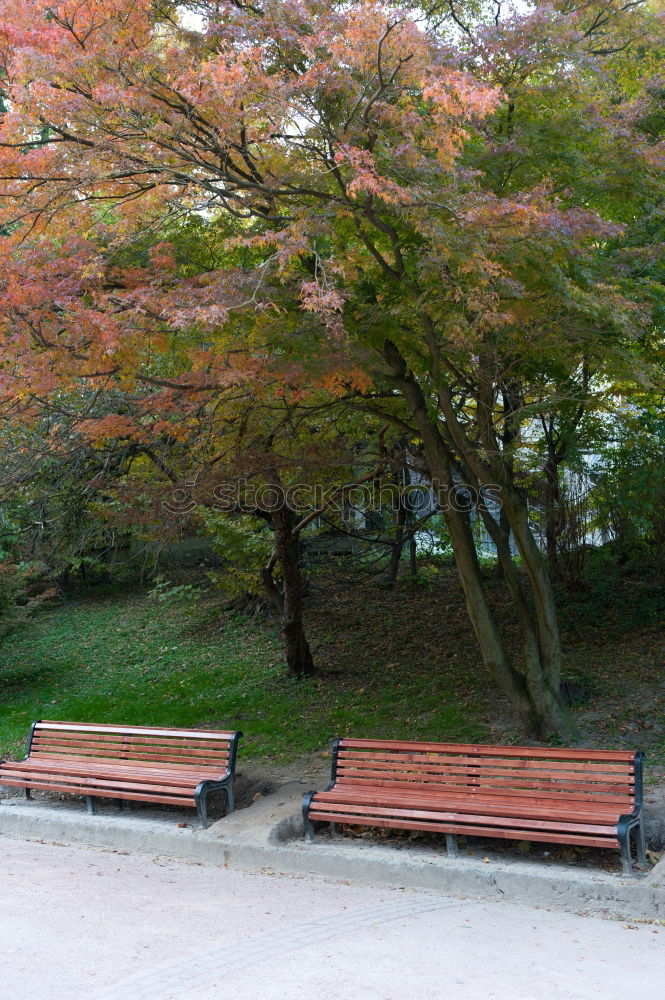 Similar – Park bench in the fall at Lago Ledro