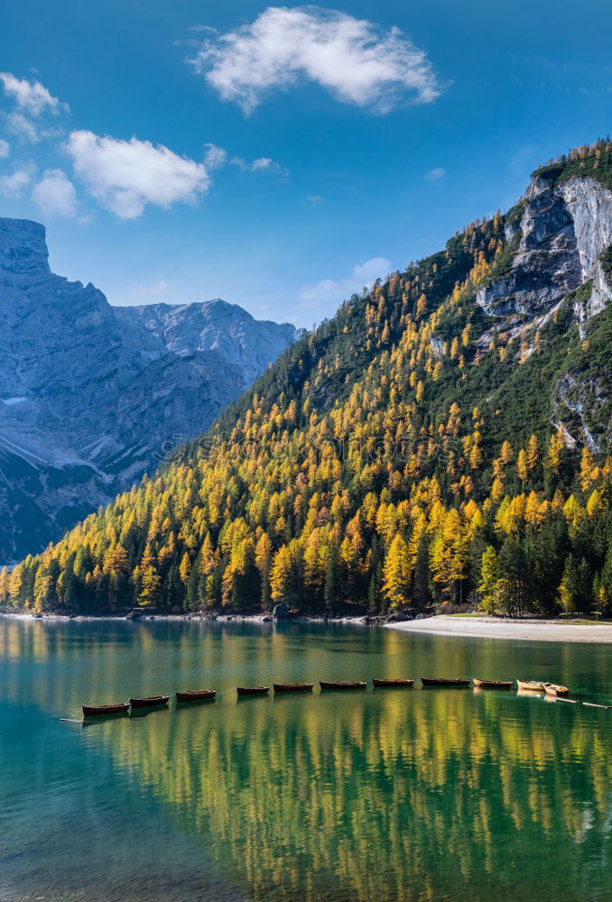 Similar – Image, Stock Photo District of Hohenschwangau and its castles