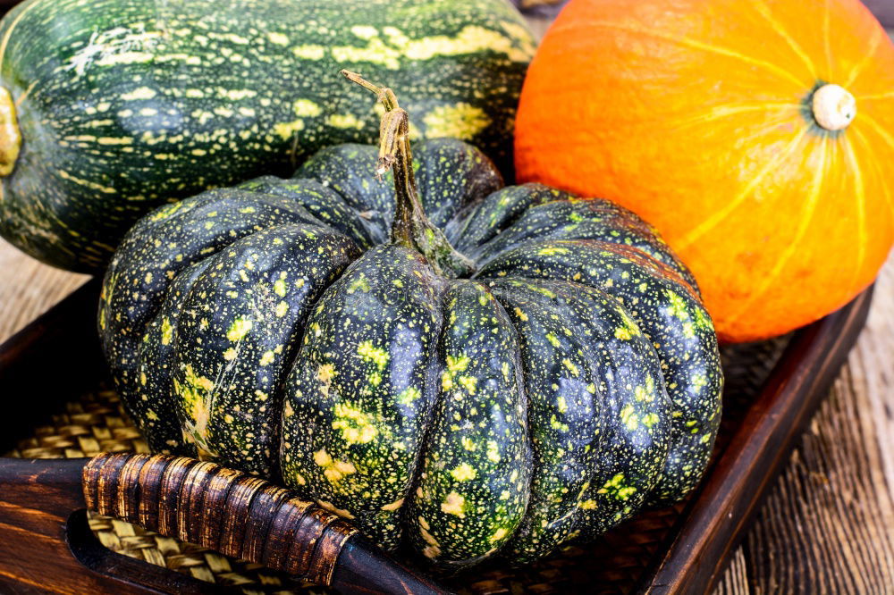 Image, Stock Photo pumpkin basket Food Fruit