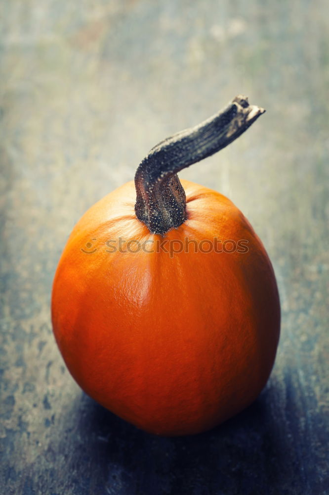 Similar – Image, Stock Photo KÜR V Food Vegetable