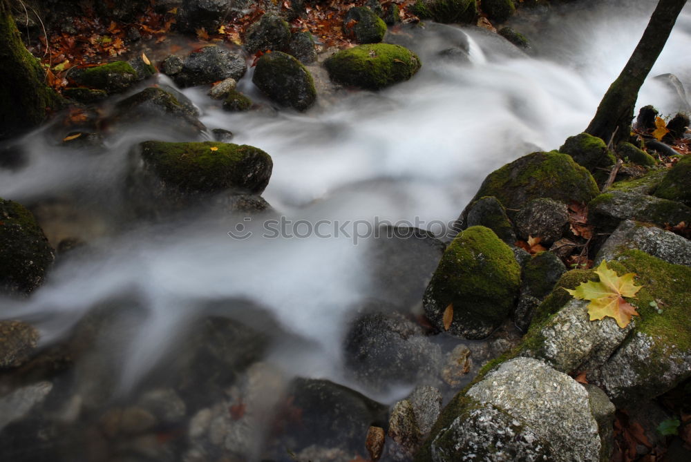 Similar – Image, Stock Photo tender as a winter Wet