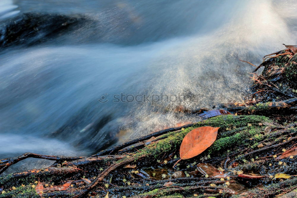 Similar – Image, Stock Photo land seizure Nature