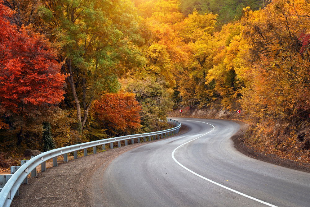 Similar – Image, Stock Photo autumn street Environment