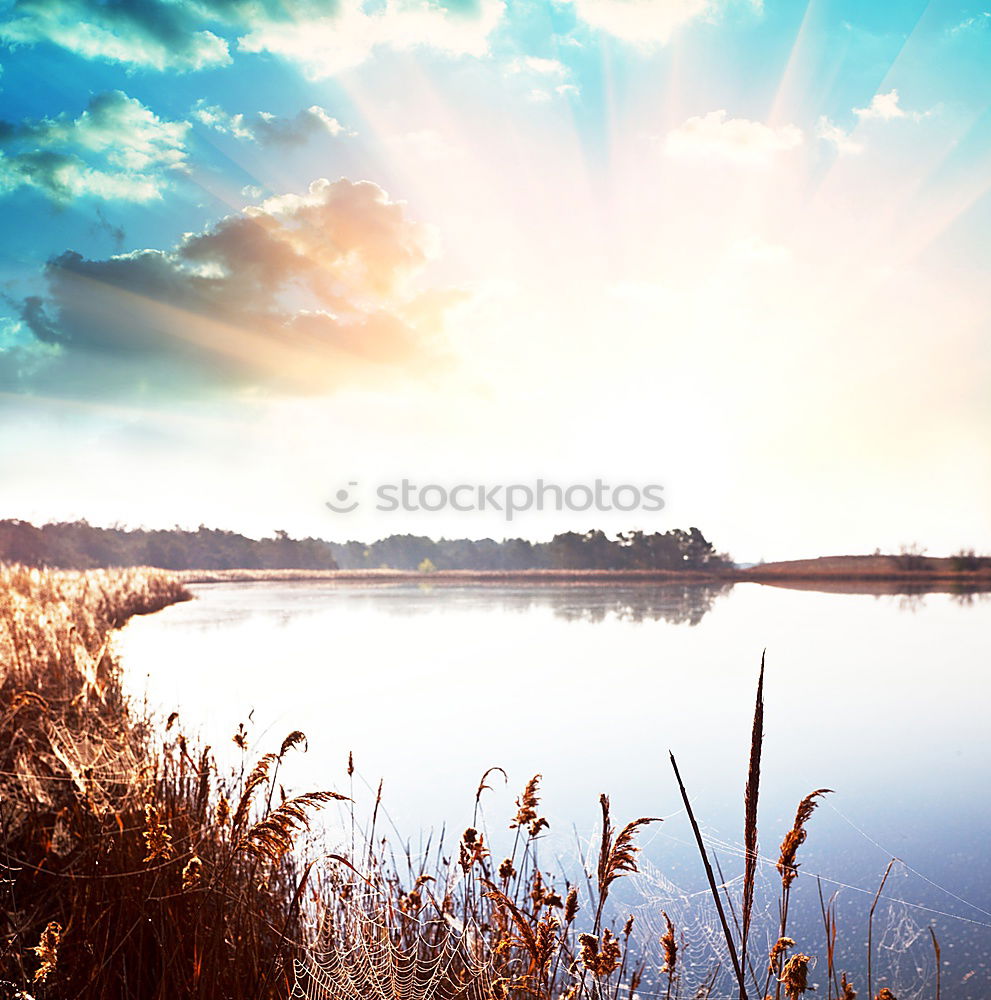 Similar – Image, Stock Photo bathing jetty Life