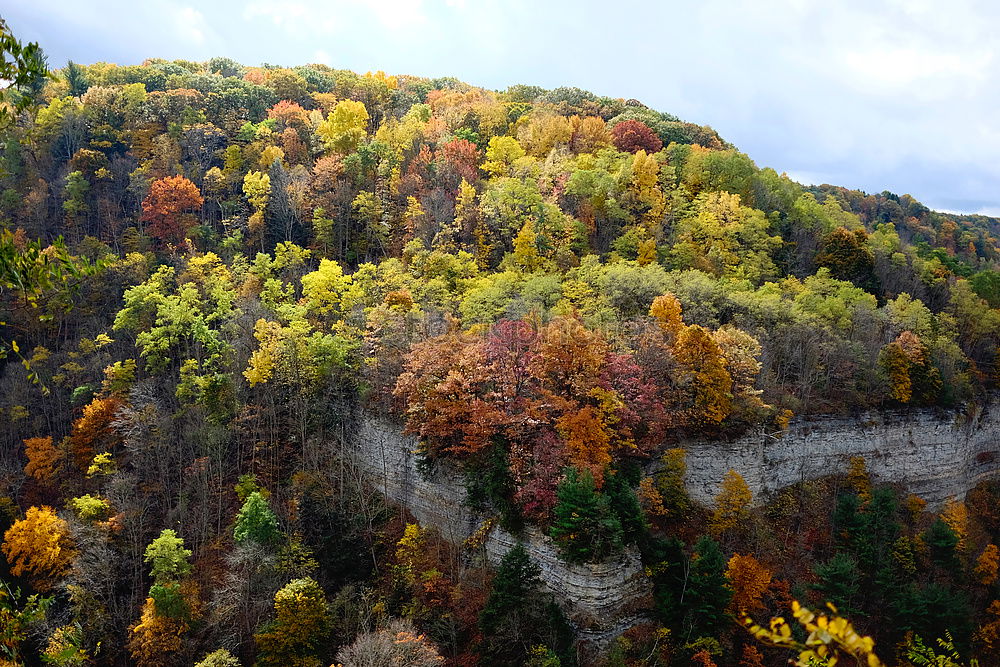 Similar – Foto Bild Goldrausch Herbst Sachsen