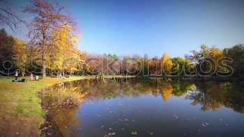 Similar – Rheinauen (Panorama)