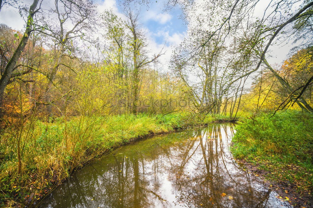 Similar – Image, Stock Photo green Idyll Paradise