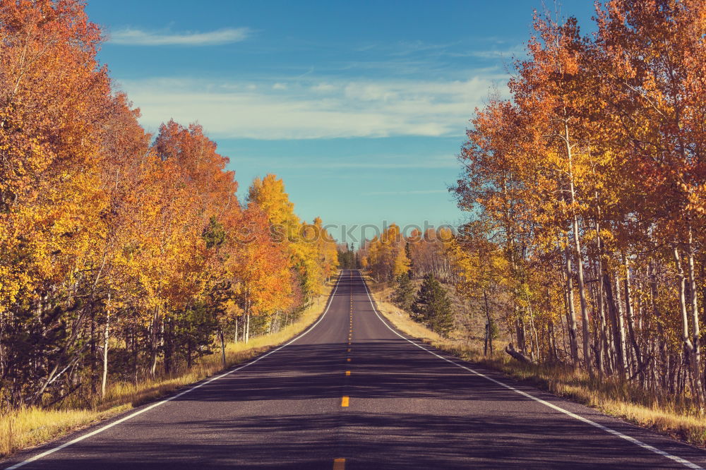 Similar – Image, Stock Photo Aerial view on countryside road. Straight road view from above.