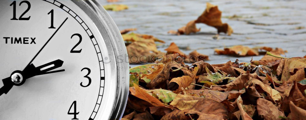 Similar – Image, Stock Photo Harvest time I Alarm clock