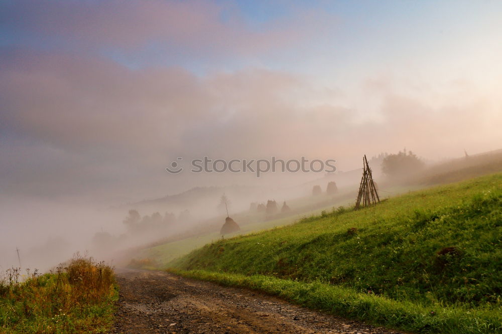 Similar – Winding paths with cypress trees between the green fields.