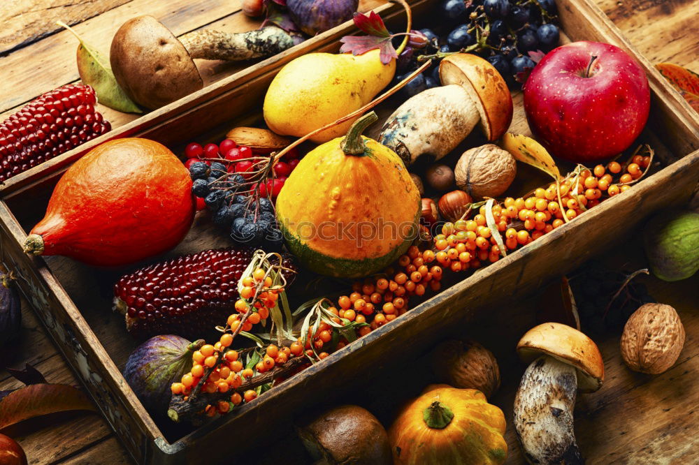 Similar – Image, Stock Photo Autumn apples and pumpkins