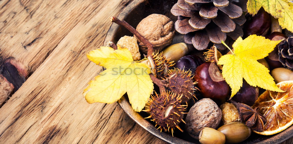 Similar – Image, Stock Photo Autumn harvest pumpkin