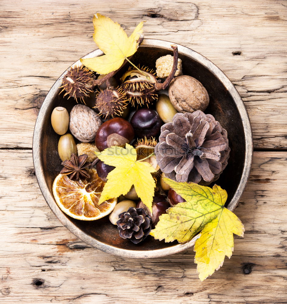 Image, Stock Photo Autumn harvest pumpkin