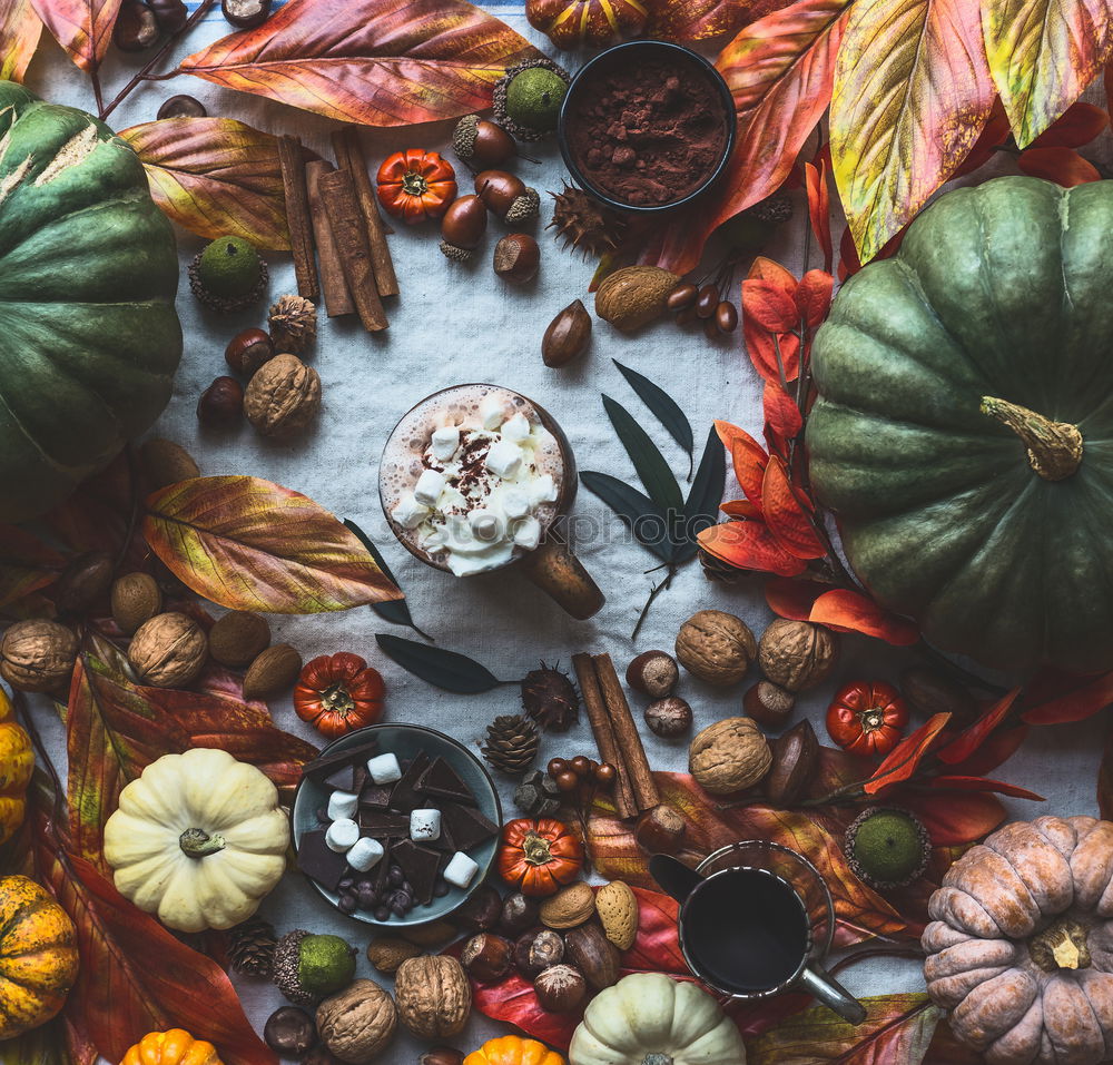 Similar – Autumn still life with pumpkins and autumn leaves