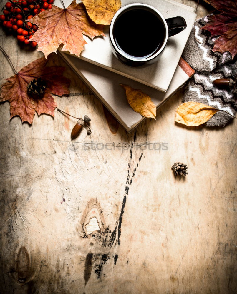 Similar – autumn To have a coffee