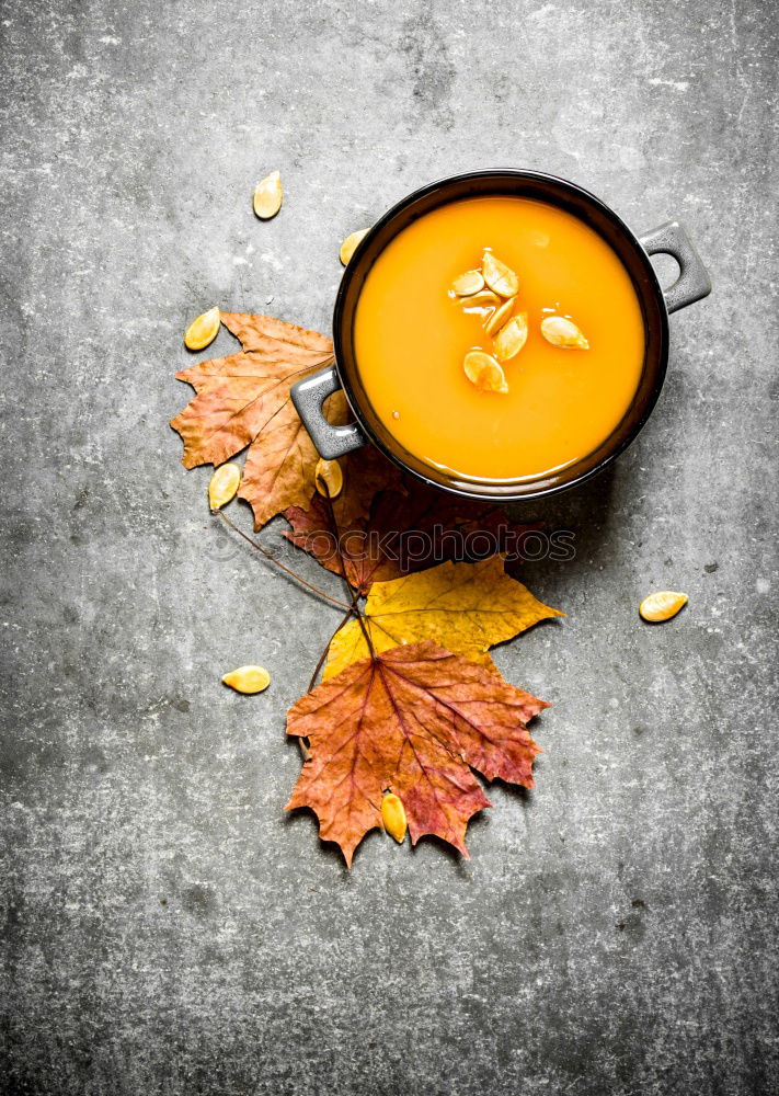 Similar – autumn soup Food Vegetable