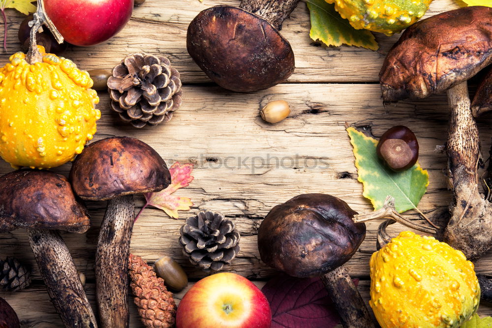 Similar – Image, Stock Photo Autumn apples and pumpkins