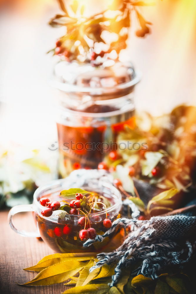 Similar – Image, Stock Photo Healthy homemade beetroot salad with chickpeas and pine nuts in glasses for lunch on dark kitchen table background with ingredients, top view. Purple vegetables eating. Clean dieting food.