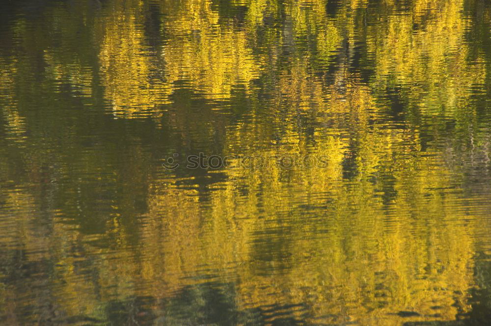 Similar – autumn mirror Nature Water