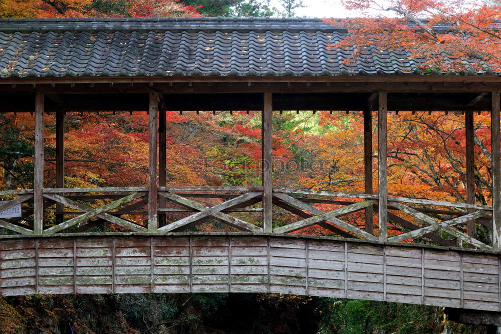 Similar – Image, Stock Photo Kiyomizu-dera Exotic