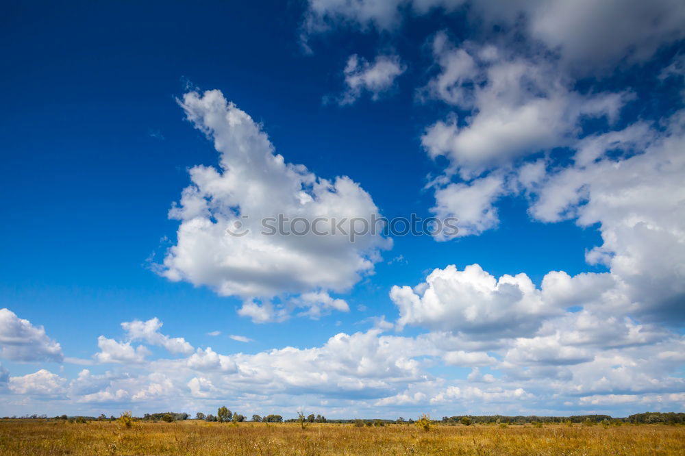 Similar – Image, Stock Photo View over the river Elbe in Magdeburg