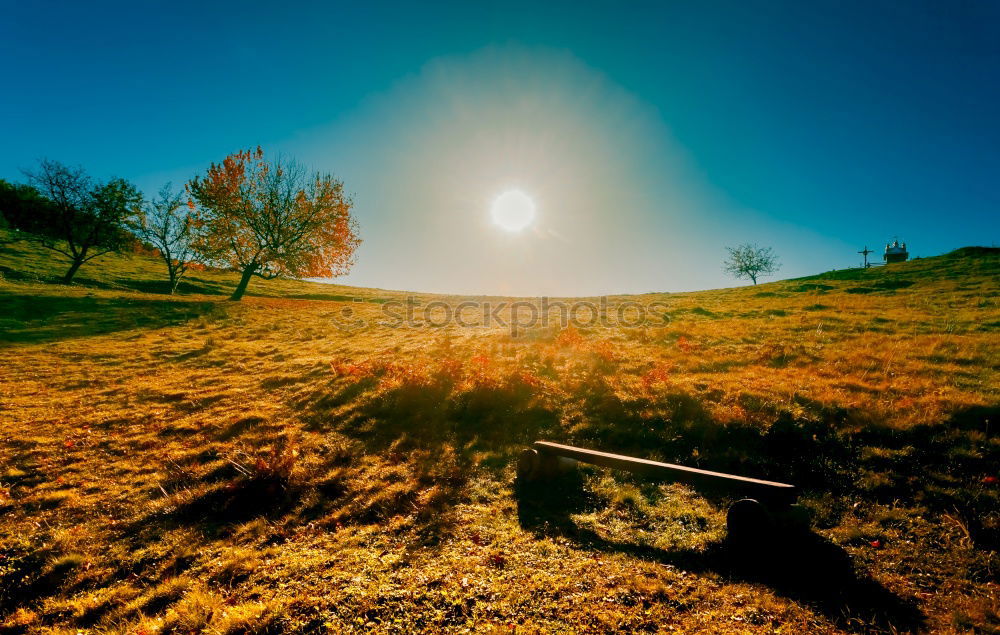 Similar – Foto Bild sonnendeck Erholung Sommer