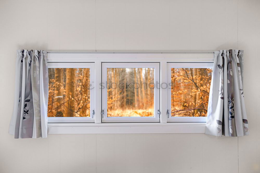 Similar – Foto Bild zuhaus. Wohnung Wohnzimmer