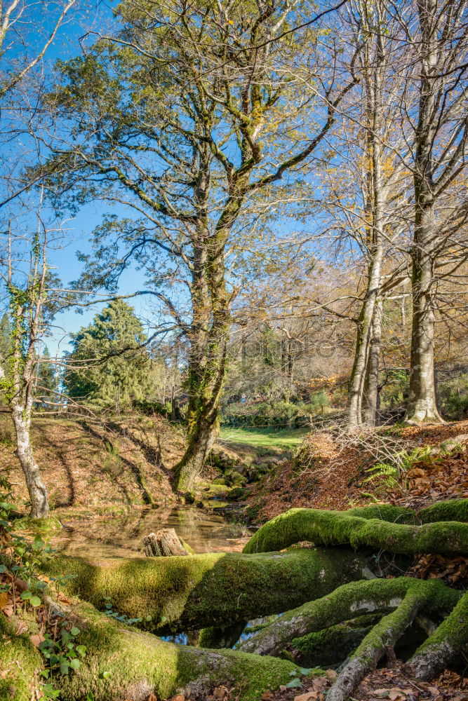 Similar – Woman sitting on a stone bridge in Dartmoor, England