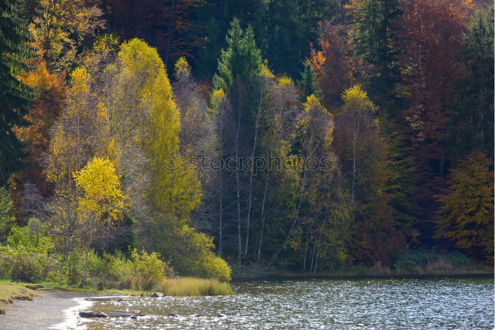 Similar – Image, Stock Photo Hohenwarte Reservoir