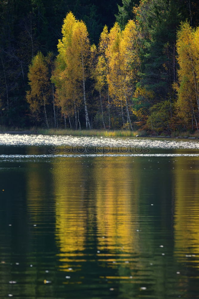 Similar – Indian Summer im Frankenwald