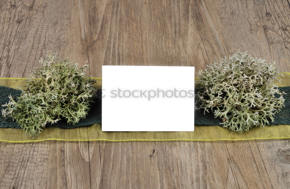 Similar – Image, Stock Photo I have no idea! A blank piece of paper with a pen and a vase of flowers on a wooden table